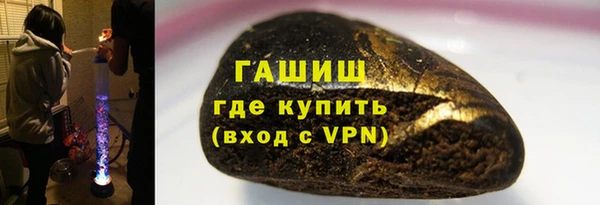 хмурый Пересвет
