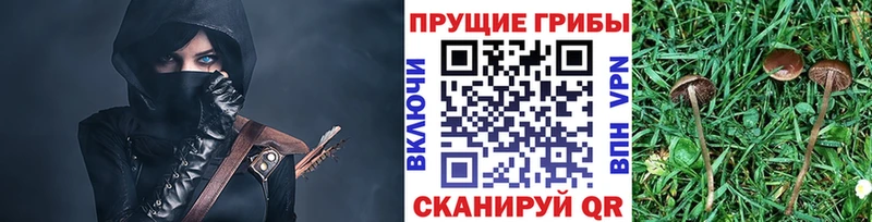 Псилоцибиновые грибы мицелий  Купить где  Унеча 